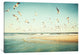 "Freedom Gallery" by Carolyn Cochrane, 26x18x1.5"