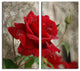 Roses are Red II Canvas Wall Art, 2-Piece Set