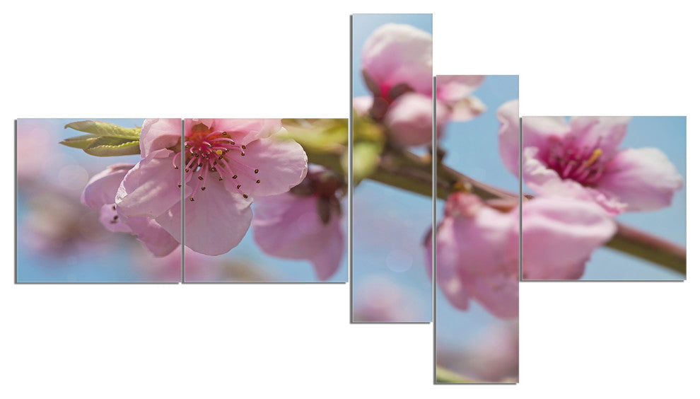 Stem of Peach Blossom Flowers, Floral Canvas Art Print, 60"x32", 5 panels