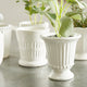 Mirabelle Mini Cachepots, Set of 6