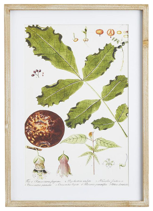 Elegant Bright Green Leaf Study Set of 6 Prints Botanical Tropical Large 28 in