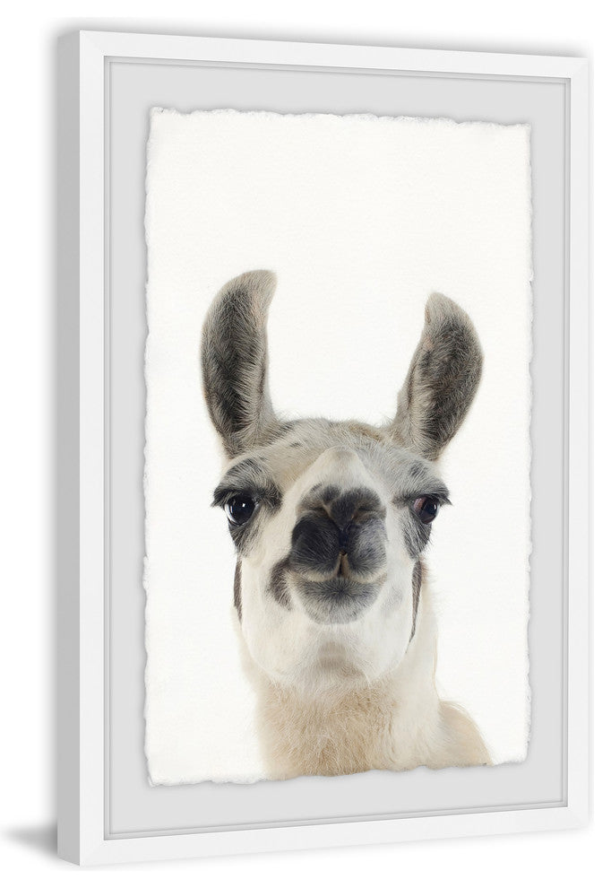 "Black and White Llama" Framed Painting Print, 24"x36"