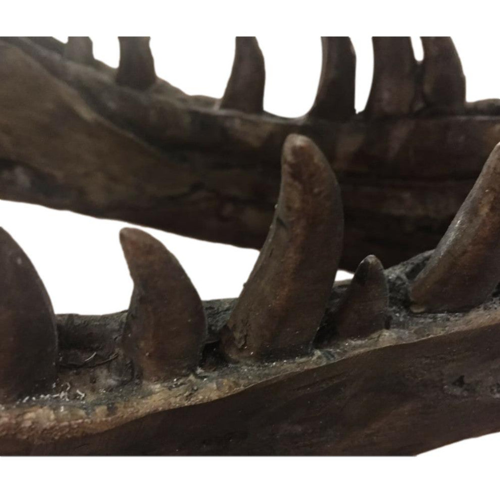 Tyrannosaurus Rex Head Sculpture, Dinosaur Decor