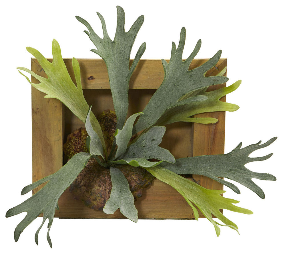 13" Staghorn Artificial Plant, Wood Hanging Frame