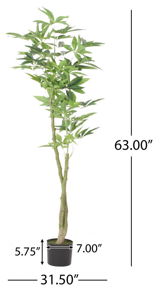 Coles Artificial Money Tree, Green, 31.5wx31.5dx63h