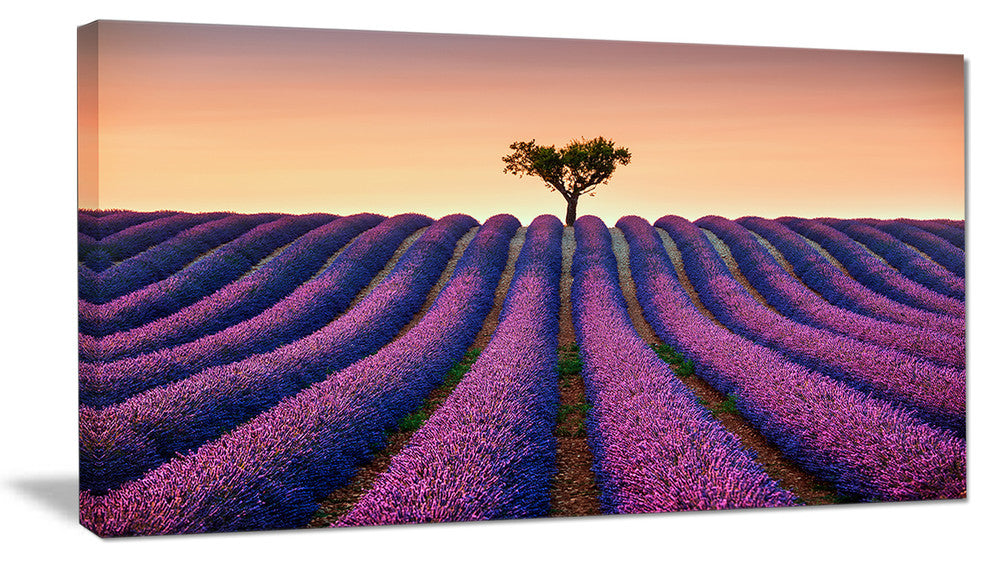 "Lavender and Lonely Tree Uphill" Landscape Photo Wall Art, 40"x20"