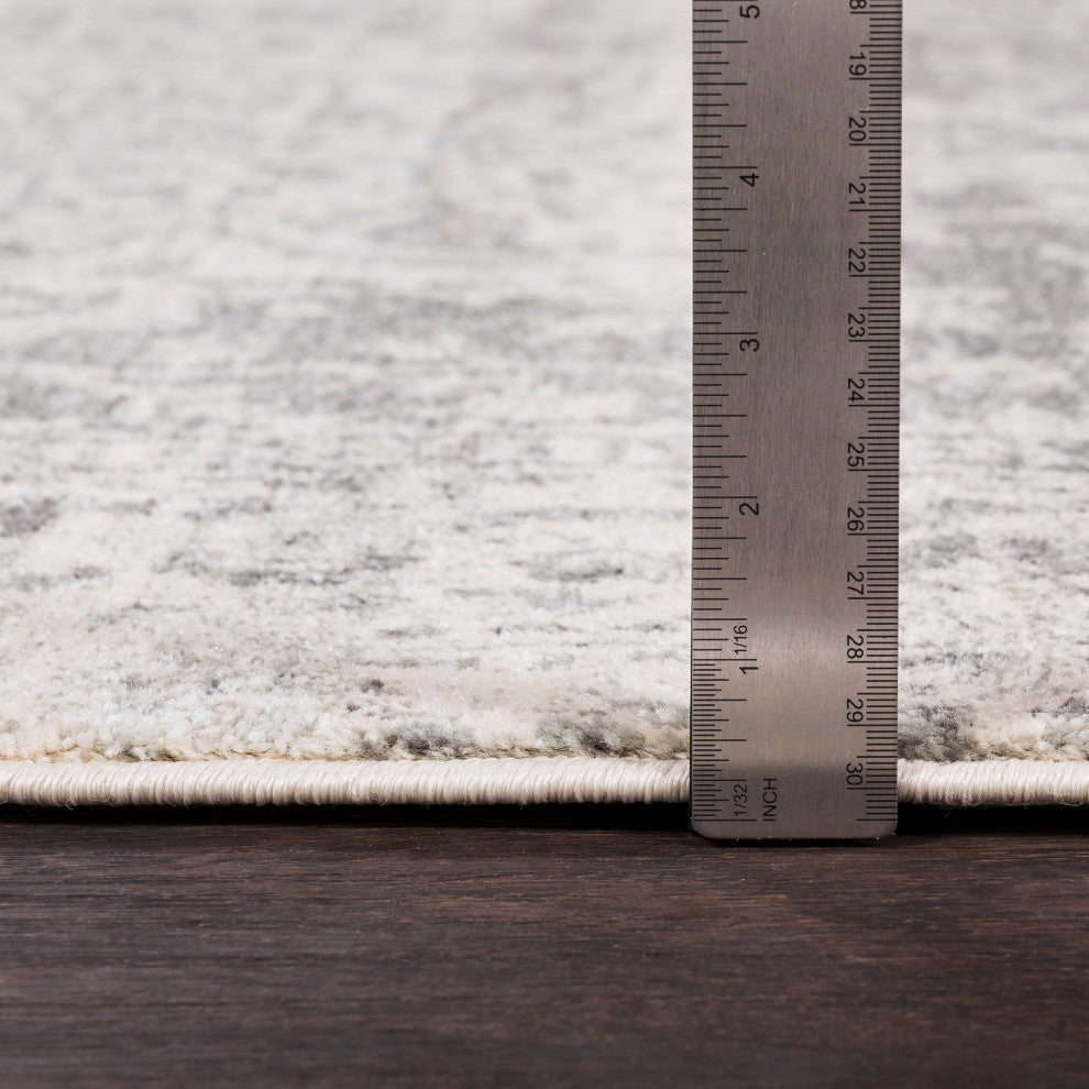 Harput Traditional Black and Light Gray Area Rug, 7'10"x10'3"