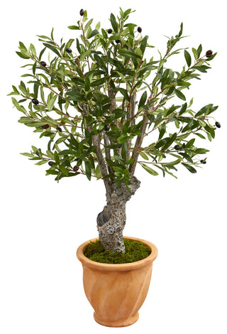 3" Olive Artificial Tree, Terracotta Planter