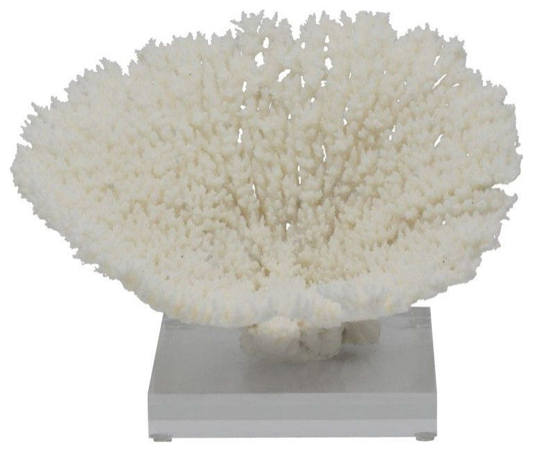 Table Coral Special 10-12" On Acrylic Base