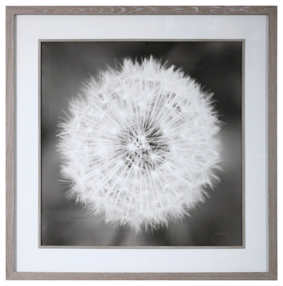 Uttermost Dandelion Seedhead Framed Print