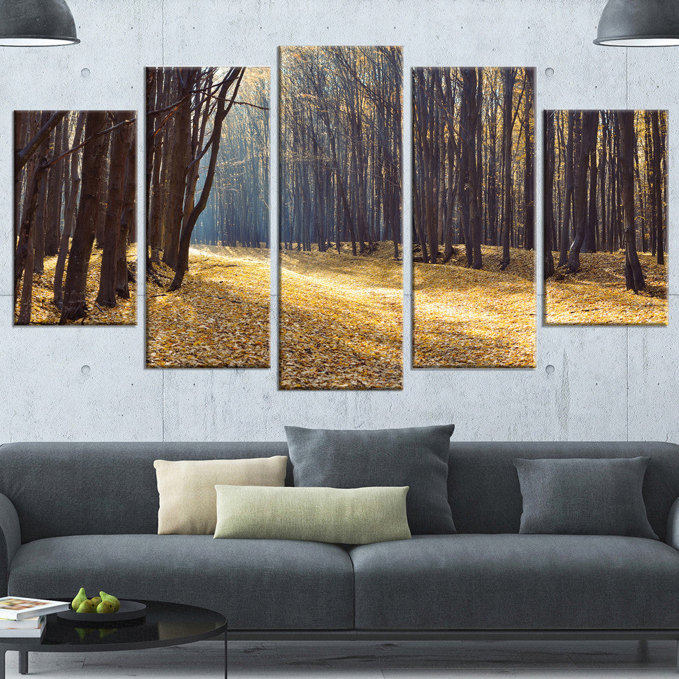 Path in the Fall Forest Panorama, Forest Canvas Art Print, 60"x32", 5 Panels