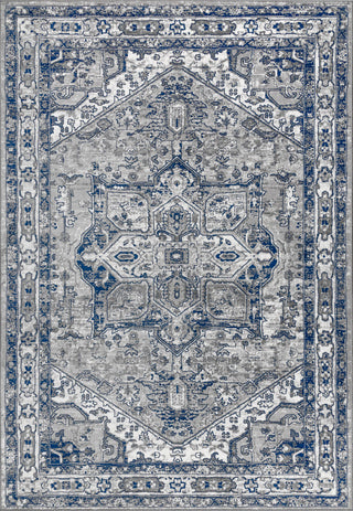 Modern Persian Vintage Medallion Light Grey/Navy 8' x 10' Area Rug