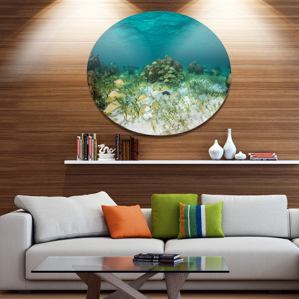 School Of Grunts With Baracuda, Seashore Art Round Wall Art, 11"