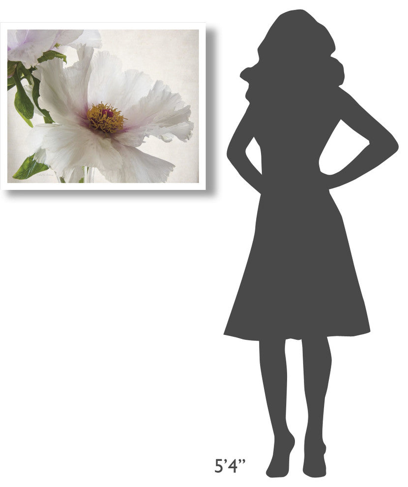 "Translucent Peony VI" Digital Paper Print by Debra Van Swearingen, 30"x24"