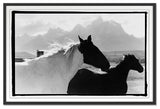 Letting Go Fine Art Print, Black, 30"x45"