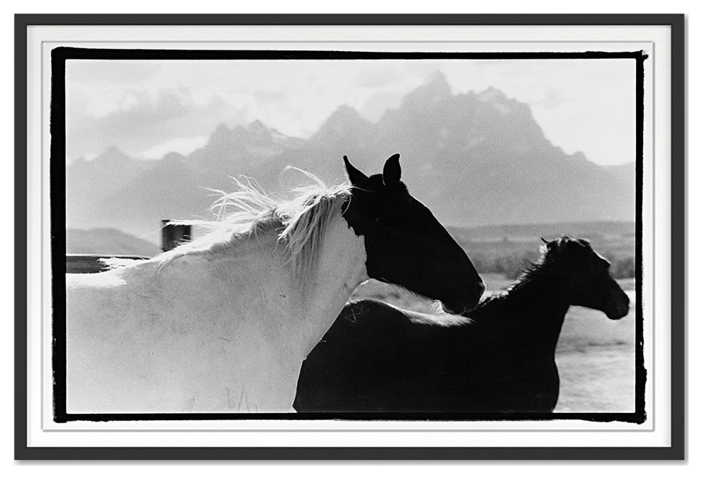 Letting Go Fine Art Print, Black, 30"x45"