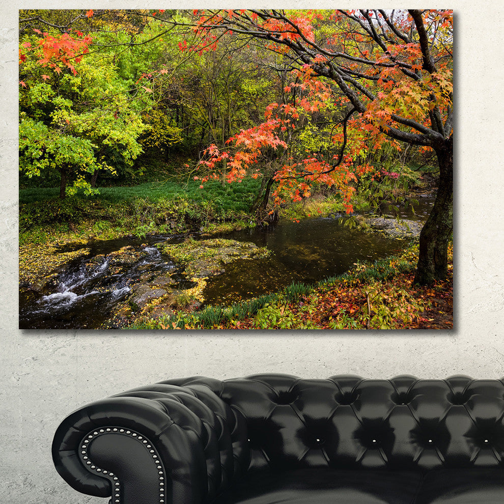 Fall Trees in Bright Colors, Landscape Canvas Art Print, 40"x30"