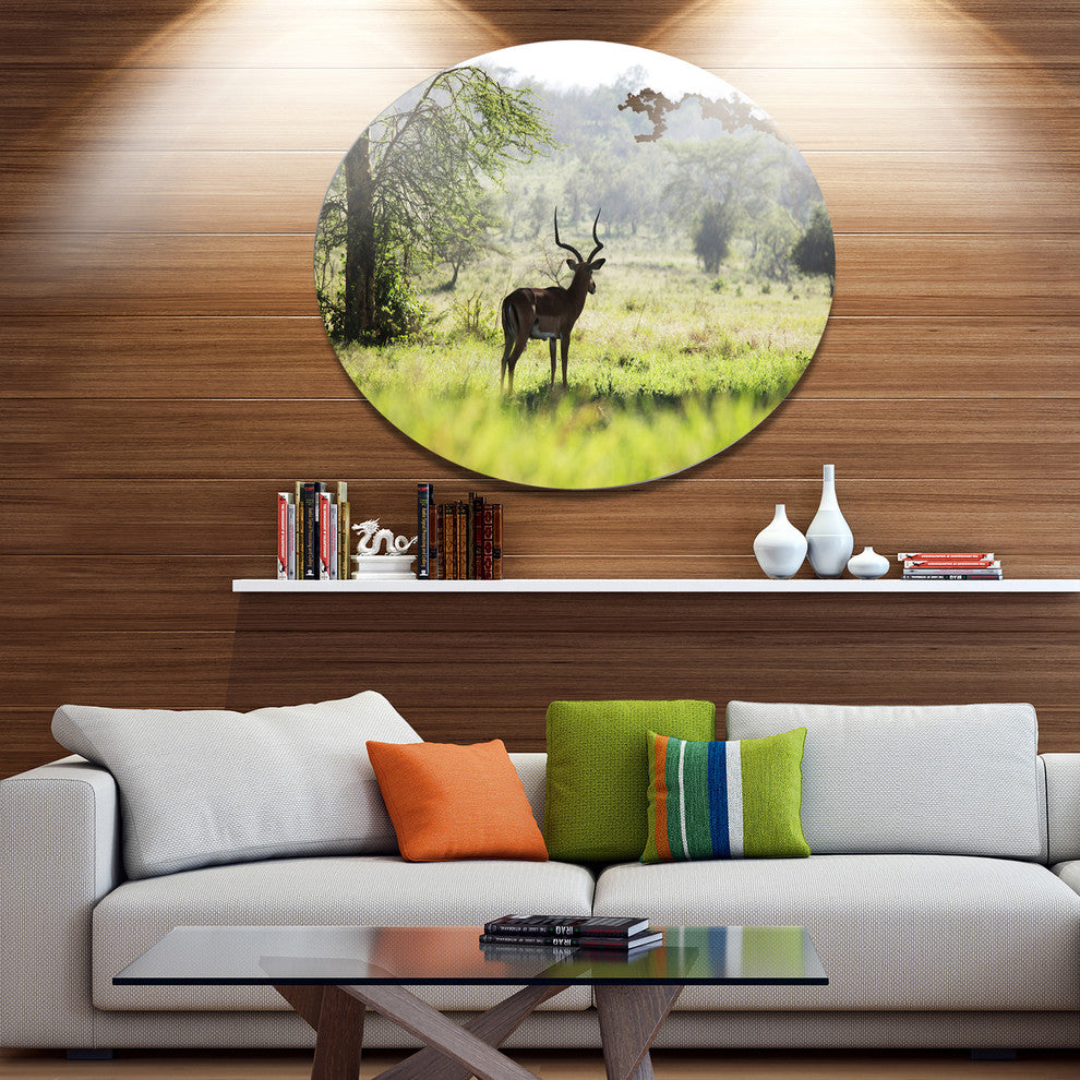 Solitary Antelope In Green Park, African Landscape Round Wall Art, 23"