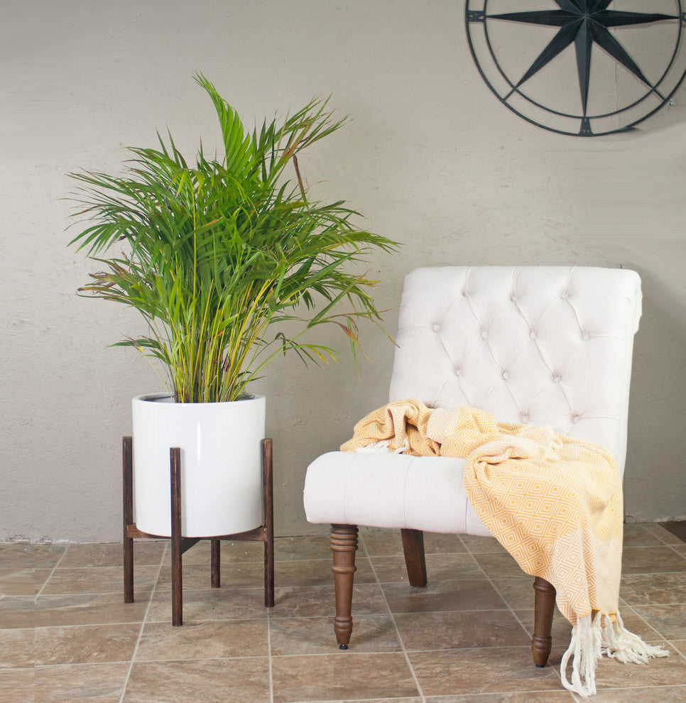 Ceramic Planter Large Cylinder Pot 13" White With Plant Stand Set Dark Walnut