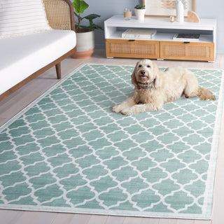 Safavieh Arizona Machine-Washable Collection ARZ172 Rug, Sage/Ivory, 2'6"x8'