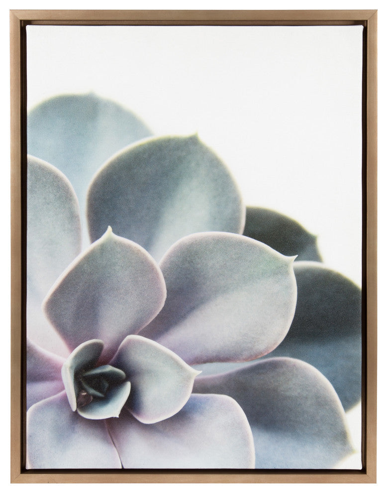 Sylvie Succulent, Gold Framed Canvas Wall Art by F2 Images