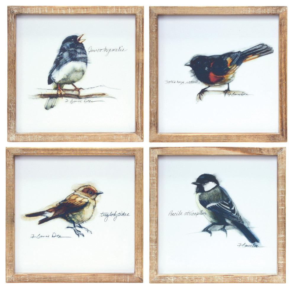Framed Bird Print, 4-Piece Set