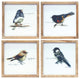 Framed Bird Print, 4-Piece Set