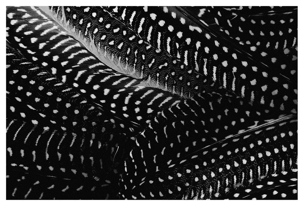 Plumes No. 3, 60"x40", Unframed