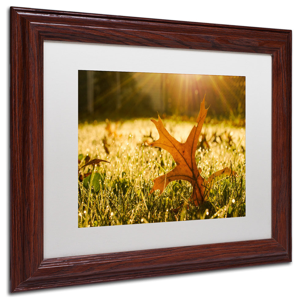 PIPA Fine Art 'Fall Leaf in Morning Sun' Matted Framed Art, 14x11