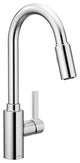 Moen Genta Chrome 1-Handle Kitchen Faucet