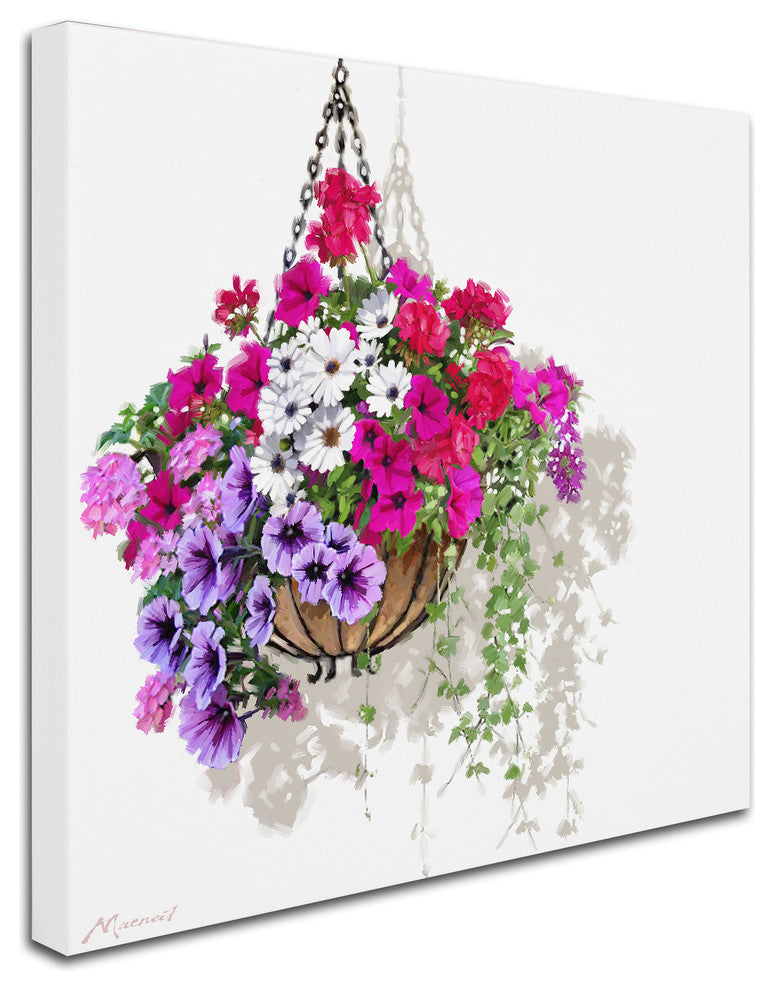 The Macneil Studio 'Hanging Basket' Canvas Art, 24"x24"