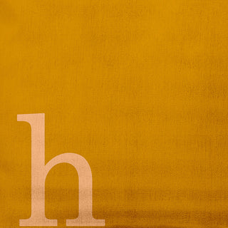 18"x18" Modern Monogram Decorative Throw Pillow, Autumn Gold