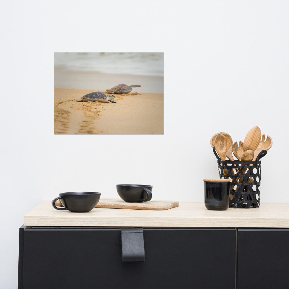 Baby Hawksbill Sea Turtle On The Beach Animal Wildlife Loose Wall Art Print, 12" X 16"