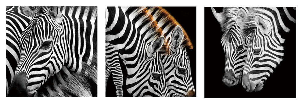 "Zebra Stripes" Tempered Glass Wall Art, 3-Piece Set