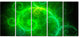 Beautiful Green Pattern on Black, Abstract Wall Art Canvas, 60"x28", 5 Panels