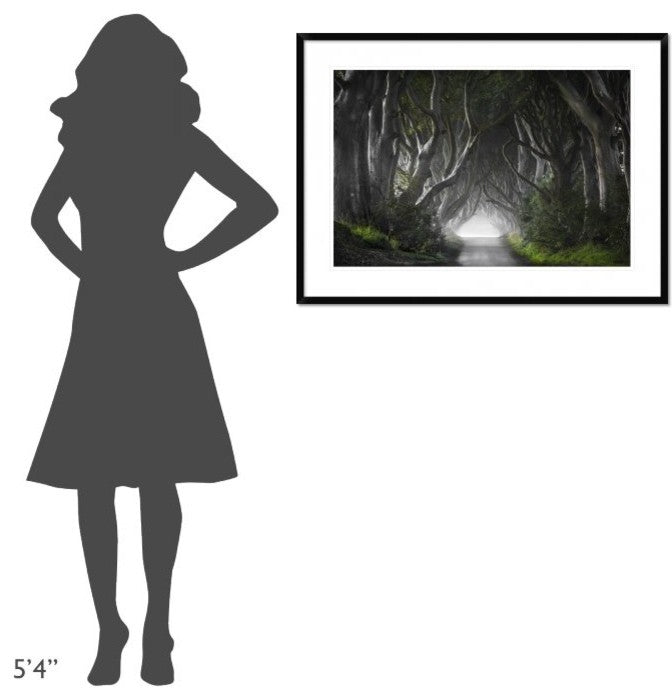 "Dark Hedges" Framed Digital Print by Nicola Molteni, 38"x28"