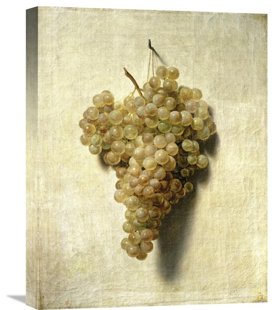 "White Grapes (Raisons Blancs)" Canvas Giclee by Louis Leopold Boilly, 17"x22"