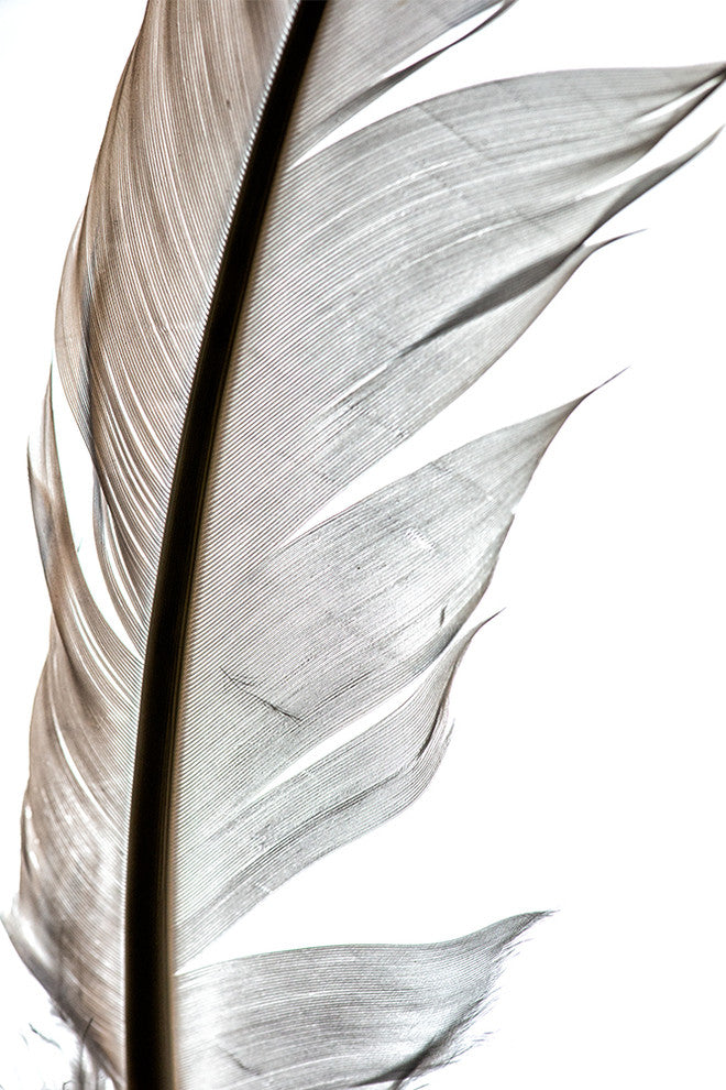 "Light As A, Two" Metal, 20"x30"