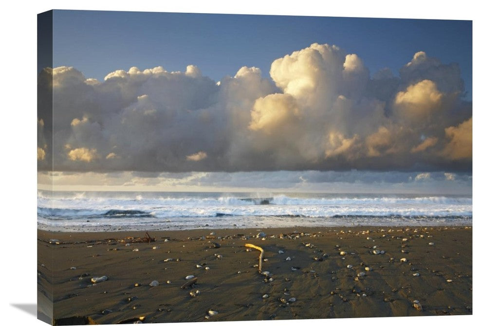 "Beach And Waves, Corcovado National Park, Costa Rica" Artwork, 24" x 18"