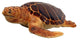 37"W Sea Turtle Statue