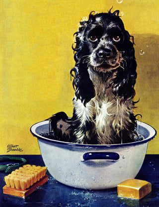 "Butch Gets a Bath" Painting Print on Canvas by Albert Staehle