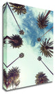 Palm Sky 2 by Design Fabrikken, Print on Canvas, 24"x36"