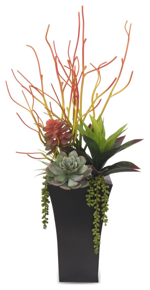 Pencil Cactus, Agave Arrangement, Black Square Metal Pot