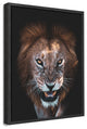 The Angry Face' Framed Print Wall Art by Faisal ALnomas