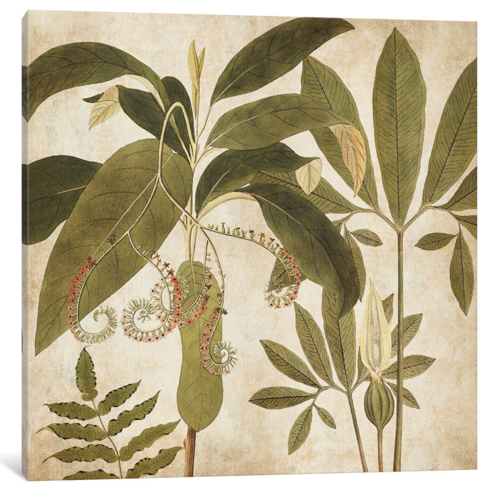 "Palm Persuasion I" by Chris Donovan, Canvas Print, 26"x26"