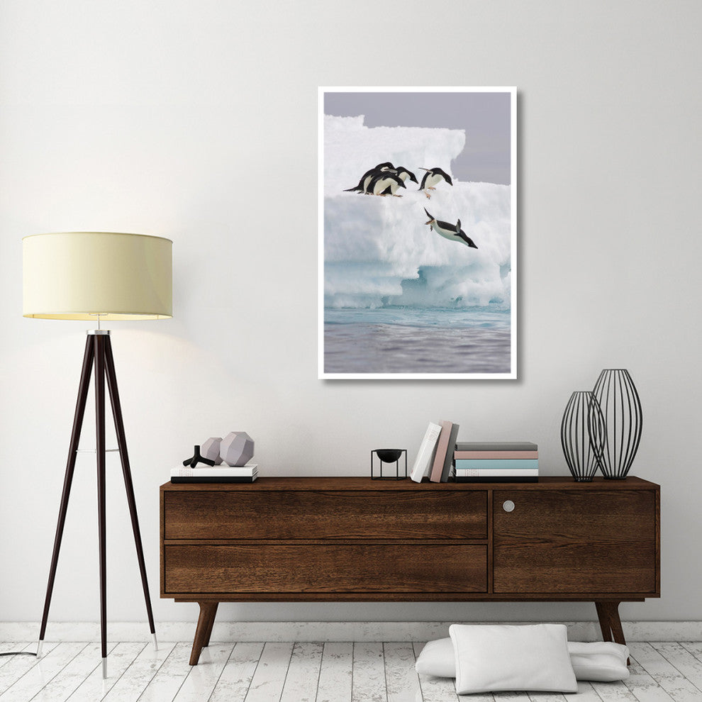 "Adelie Penguin diving off iceberg, Paulet Island" Paper Art, 34"x50"