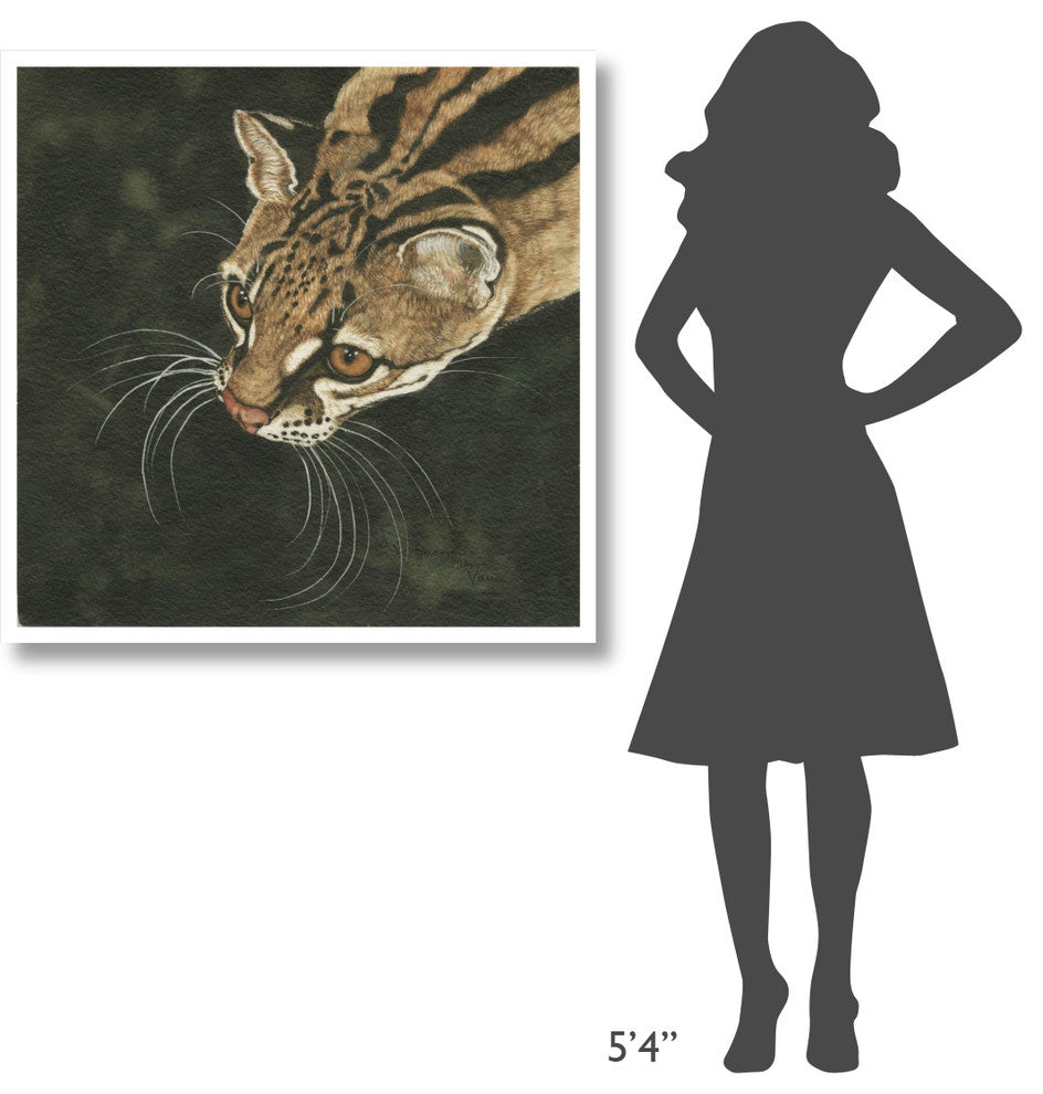 "The Margay" Digital Paper Print by Jacquie Vaux, 38"x38"