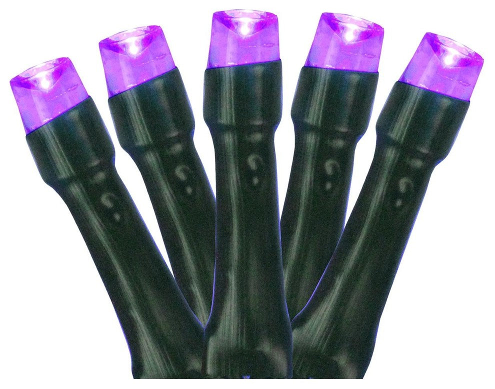 20 Battery Operated Purple LED Wide Angle Mini Christmas Lights 9.5ft Green Wire