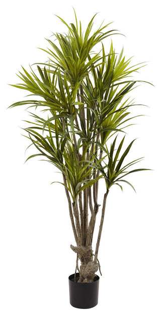 Full product image on a uniform white background, providing an alternate white-background view of the same Dracaena Silk Tree.