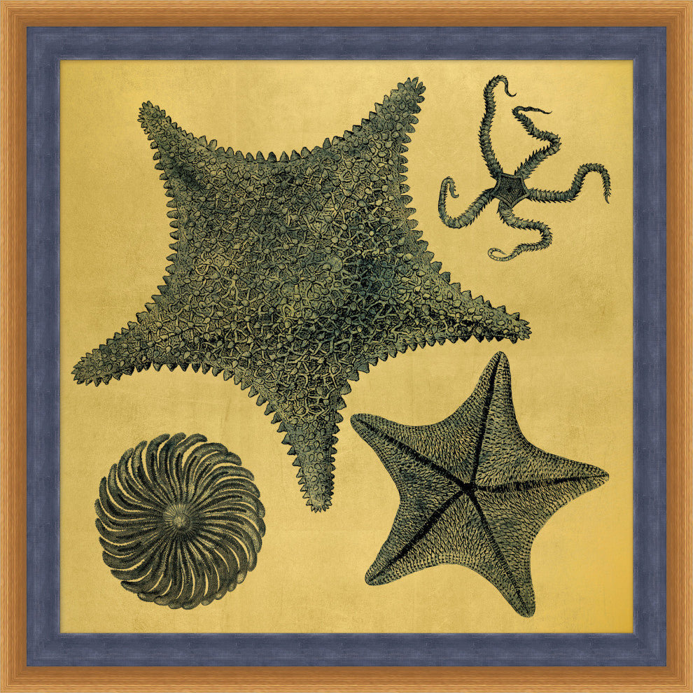 Gold Leaf Starfish 2, Giclee Reproduction Artwork